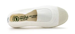 Natural World Apricot Sale