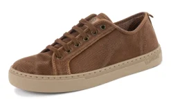 Natural World Clavel Sale