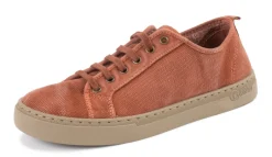 Natural World Clavel Sale