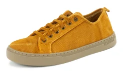 Natural World Clavel Sale