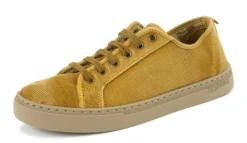 Natural World Clavel Sale