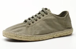 Natural World Clover Best Sale