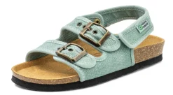 Natural World Maui Clearance
