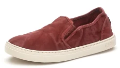 Natural World Old Petunia New