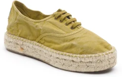 Natural World Old Zen Best Sale