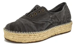 Natural World Old Zen Best Sale