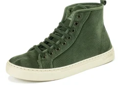 Natural World Sauco Clearance