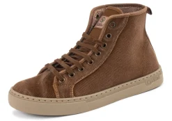 Natural World Sauco Clearance