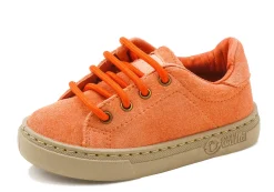 Natural World Zoilo Shop