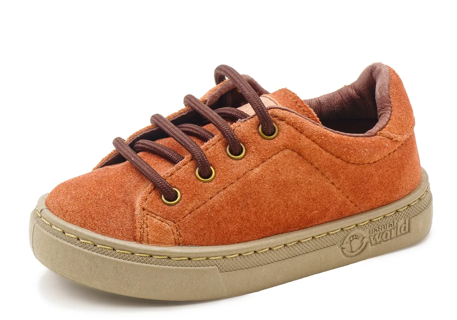Natural World Zoilo Shop