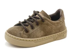 Natural World Zoilo Shop