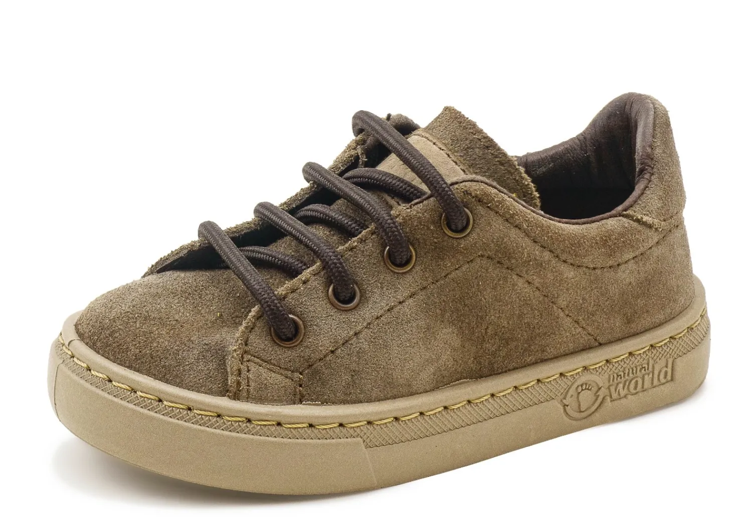 Natural World Zoilo Shop