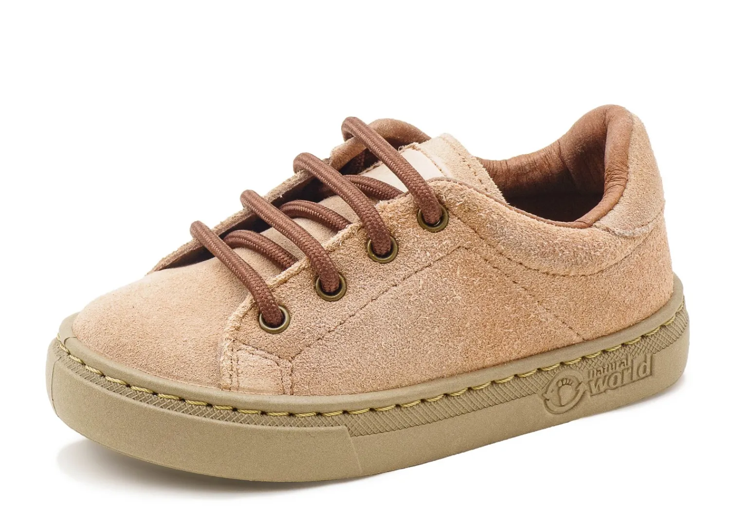 Natural World Zoilo Shop